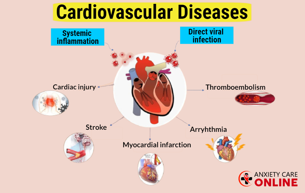 What is Cardiovascular Diseases?